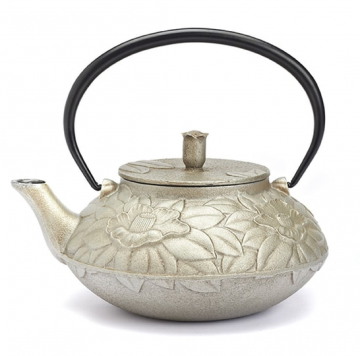 Gietijzeren theepot zilver